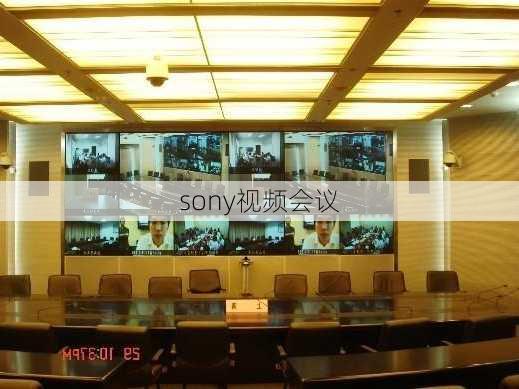 sony视频会议-第2张图片-模头数码科技网