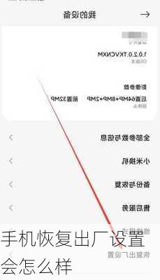 手机恢复出厂设置会怎么样-第2张图片-模头数码科技网