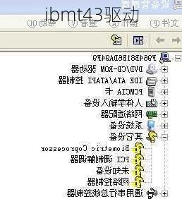 ibmt43驱动-第1张图片-模头数码科技网