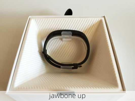 jawbone up-第2张图片-模头数码科技网