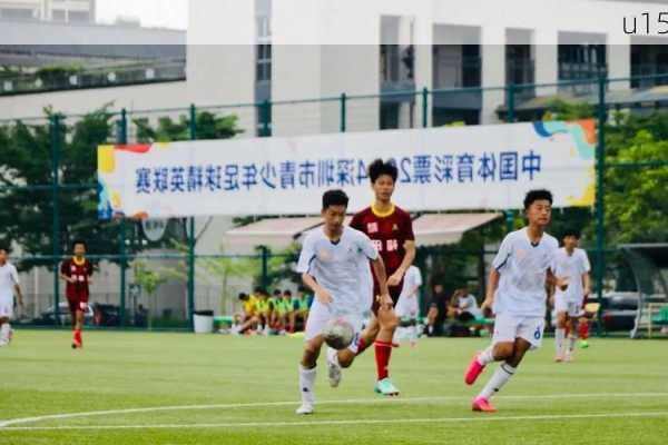 u15-第2张图片-模头数码科技网