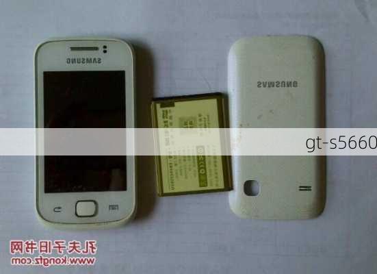 gt-s5660-第3张图片-模头数码科技网