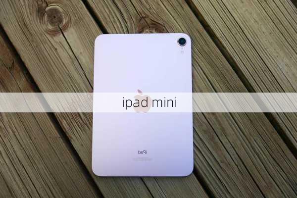 ipad mini-第2张图片-模头数码科技网