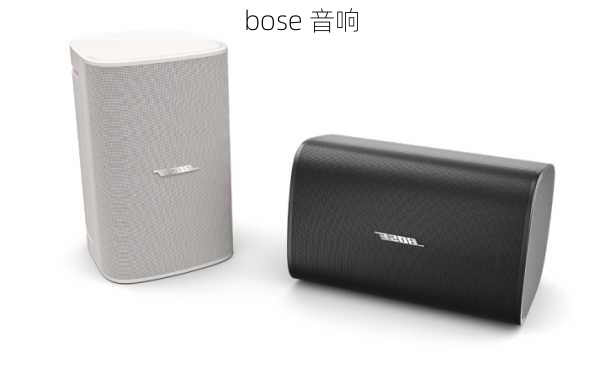 bose 音响-第2张图片-模头数码科技网