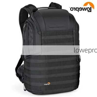 lowepro-第2张图片-模头数码科技网