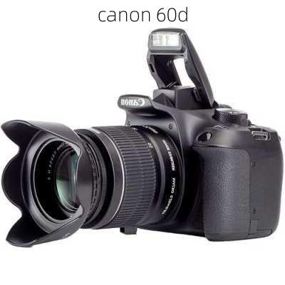 canon 60d