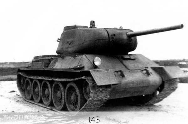 t43