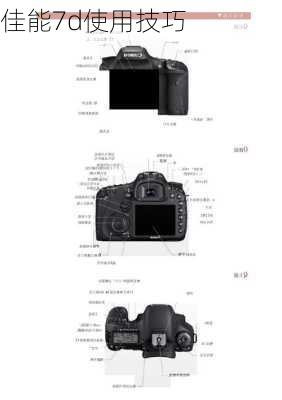 佳能7d使用技巧-第2张图片-模头数码科技网