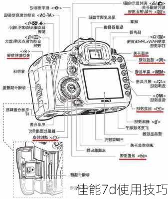 佳能7d使用技巧-第1张图片-模头数码科技网