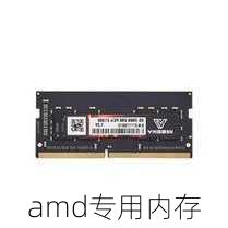 amd专用内存-第2张图片-模头数码科技网