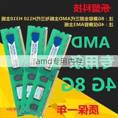 amd专用内存