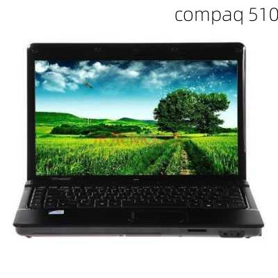 compaq 510-第3张图片-模头数码科技网