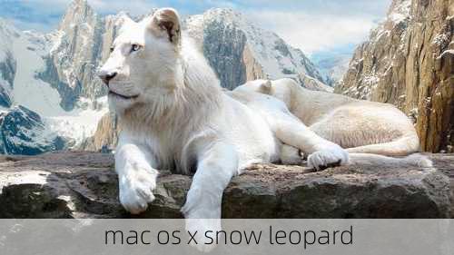 mac os x snow leopard-第3张图片-模头数码科技网