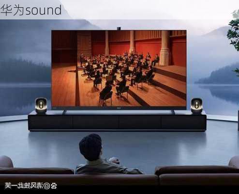 华为sound-第3张图片-模头数码科技网