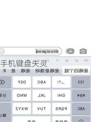 手机键盘失灵-第2张图片-模头数码科技网