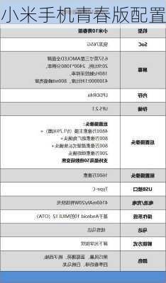 小米手机青春版配置-第3张图片-模头数码科技网