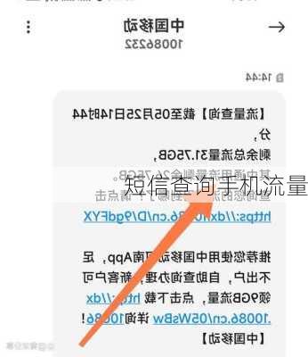 短信查询手机流量-第2张图片-模头数码科技网