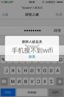 手机搜不到wifi-第3张图片-模头数码科技网