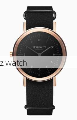 z watch-第1张图片-模头数码科技网