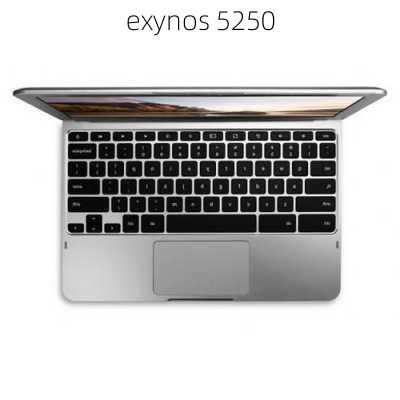 exynos 5250-第2张图片-模头数码科技网