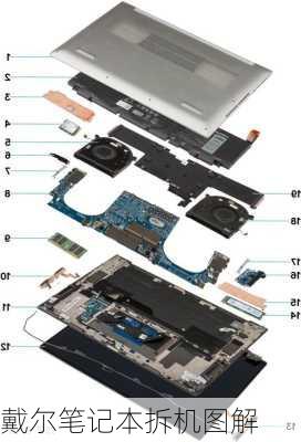 戴尔笔记本拆机图解-第1张图片-模头数码科技网