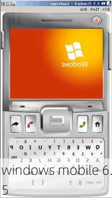 windows mobile 6.5-第3张图片-模头数码科技网