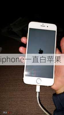 iphone一直白苹果-第2张图片-模头数码科技网