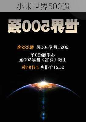 小米世界500强-第1张图片-模头数码科技网