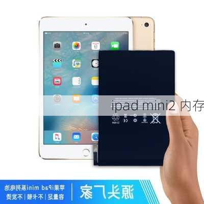 ipad mini2 内存-第3张图片-模头数码科技网