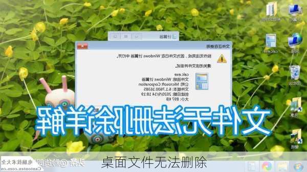桌面文件无法删除-第3张图片-模头数码科技网