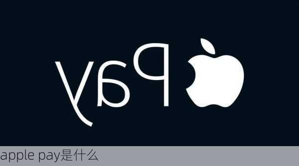 apple pay是什么-第2张图片-模头数码科技网