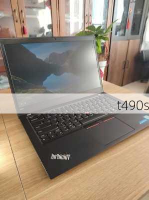 t490s-第3张图片-模头数码科技网