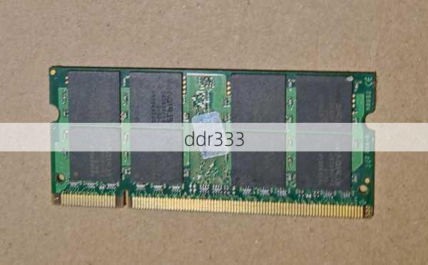 ddr333