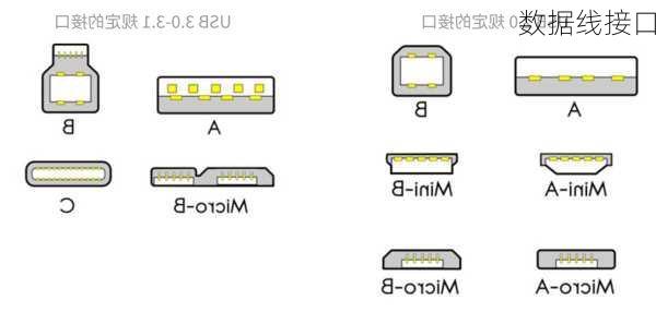 数据线接口-第1张图片-模头数码科技网