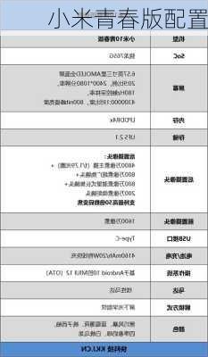 小米青春版配置-第3张图片-模头数码科技网