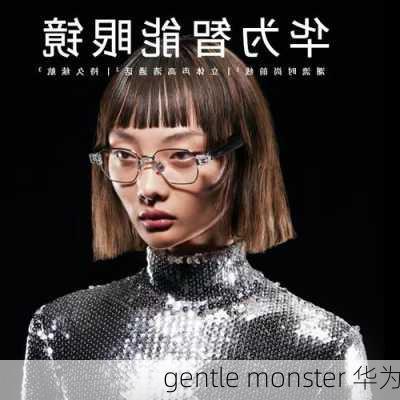 gentle monster 华为-第1张图片-模头数码科技网