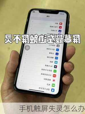 手机触屏失灵怎么办-第2张图片-模头数码科技网