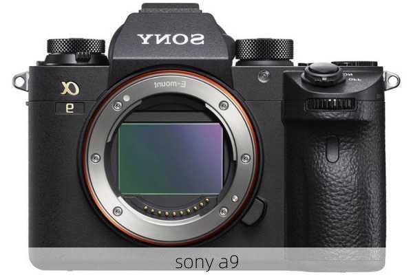 sony a9-第3张图片-模头数码科技网