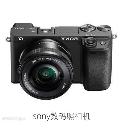 sony数码照相机-第2张图片-模头数码科技网