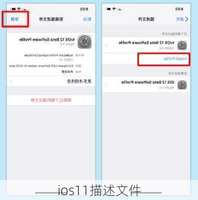 ios11描述文件-第2张图片-模头数码科技网