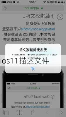 ios11描述文件-第3张图片-模头数码科技网