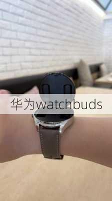 华为watchbuds-第3张图片-模头数码科技网