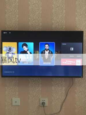 暴风tv-第2张图片-模头数码科技网