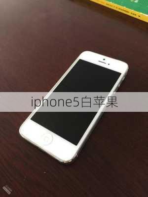 iphone5白苹果-第2张图片-模头数码科技网