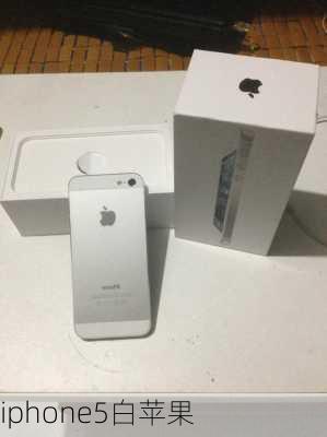 iphone5白苹果-第3张图片-模头数码科技网