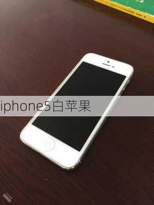 iphone5白苹果-第2张图片-模头数码科技网