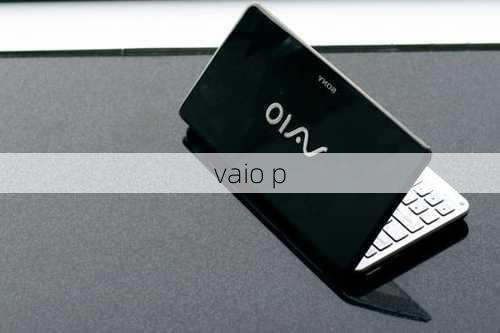 vaio p