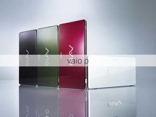 vaio p-第3张图片-模头数码科技网