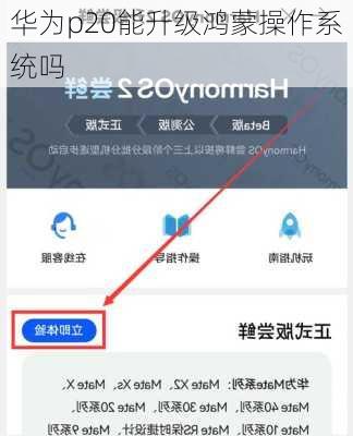 华为p20能升级鸿蒙操作系统吗-第2张图片-模头数码科技网
