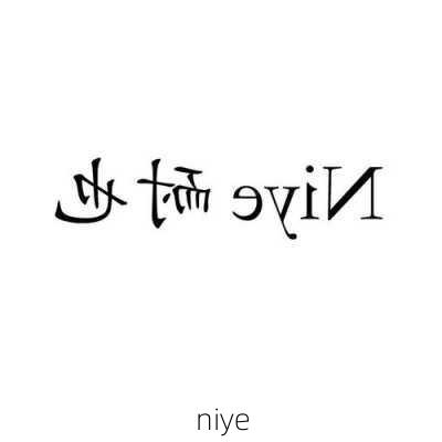 niye-第2张图片-模头数码科技网